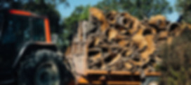 CLESIGN Harvesting cork