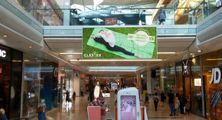 The Best Sustainable Industries