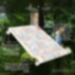 Thumbnail: Hide with Peter Rabbit