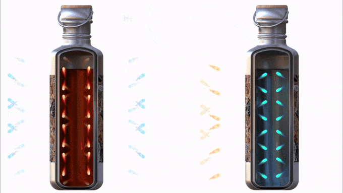 CLESIGN BOTTLE