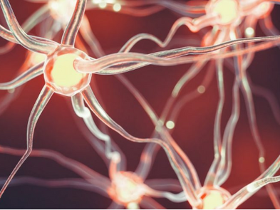 Pesquisa mostra que praticar esportes induz nascimento de novos neurônios
