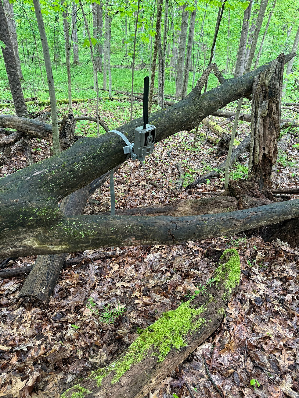 Thumbnail: Trail Cam Mount