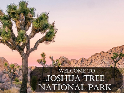 St 1 - Joshua Tree Visitor Center.png