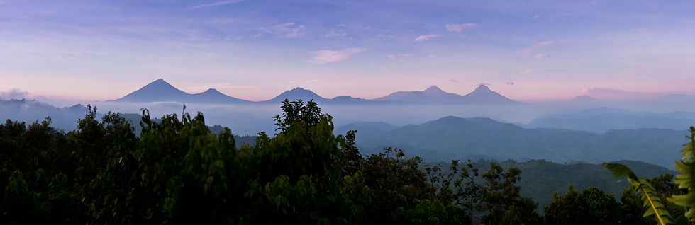 iStock-152964507.jpg
