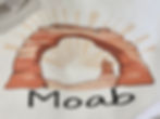 Moab Glitter Sweatshirt Closeup