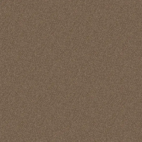 Taupe Mist.webp