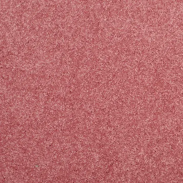 Sassy Pink.webp