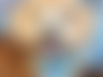 Why I Offer One-on-One Dog Grooming — And How It Supports Your Dog’s Whole Wellbeing