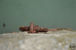 L'attache marine