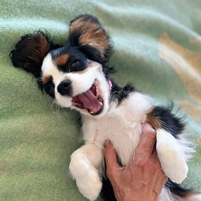 Nelson always sharing a smile..
