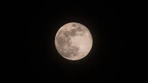 The Beaver Moon: Exploring Its Energetic Impact on Relationships, Sex, and Intimacy