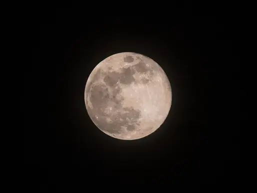 The Beaver Moon: Exploring Its Energetic Impact on Relationships, Sex, and Intimacy