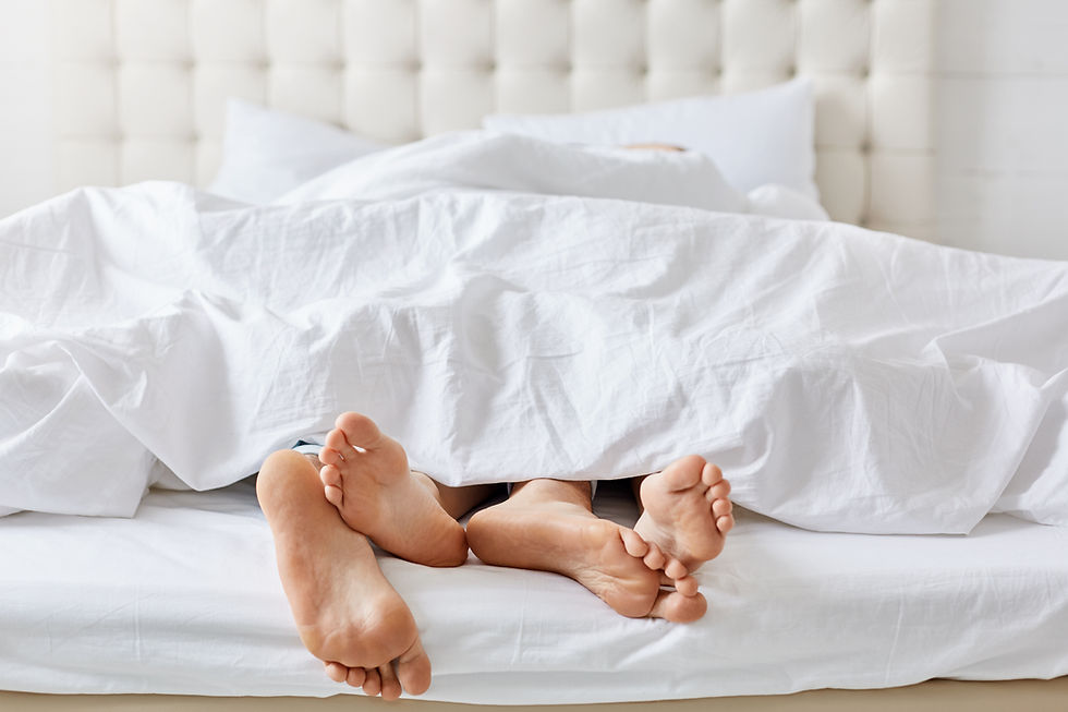 Lodgers & Overnight Guests