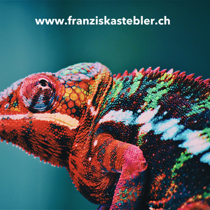 Chameleon - zwischen Streiten und Klären