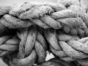 Affektbilanz – Warum unser Körper oft früher weiss, was für uns stimmig ist