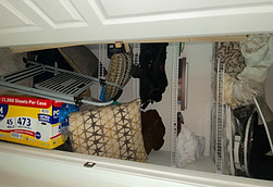IMG_2277_edited.jpg