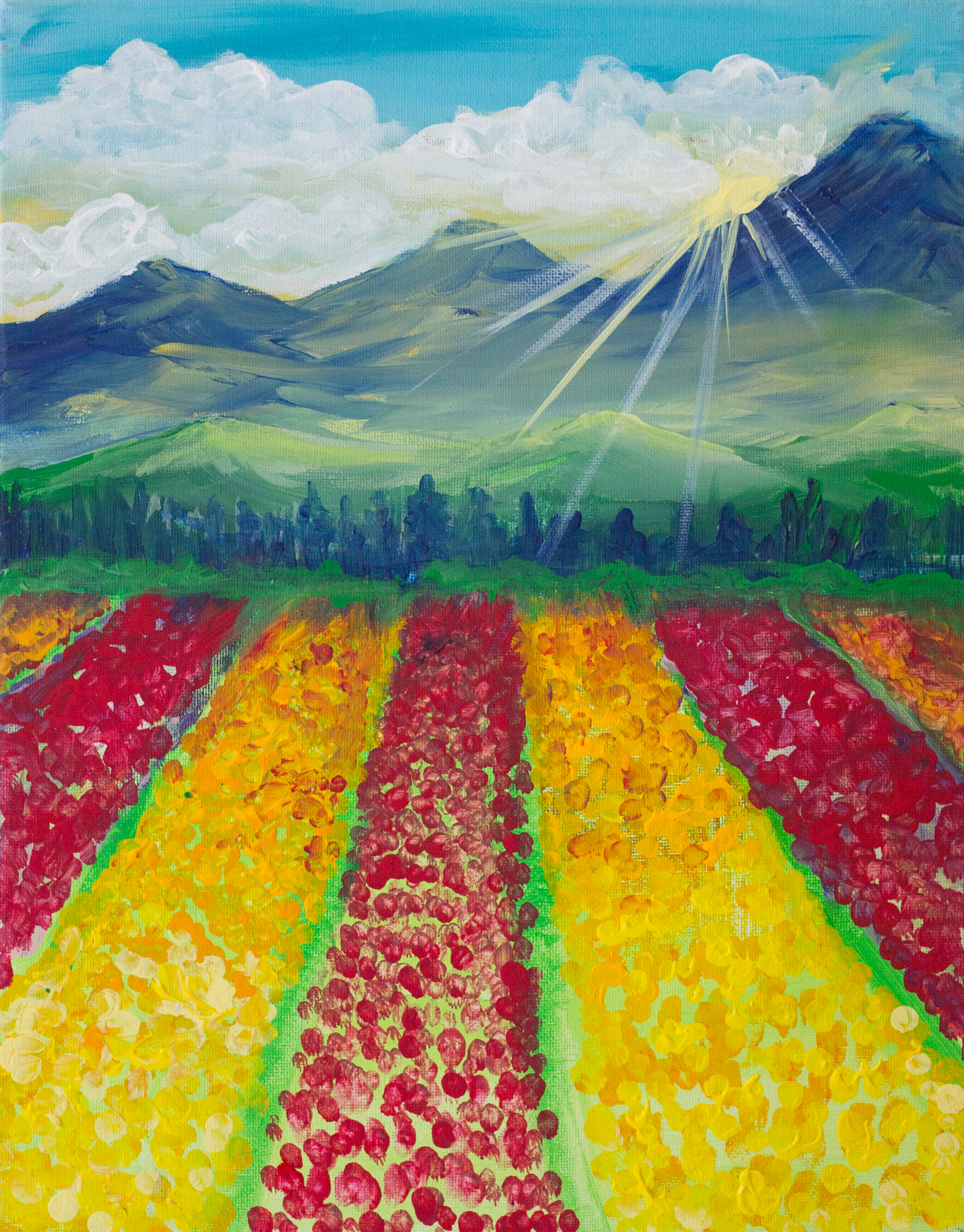 Tulip Fields