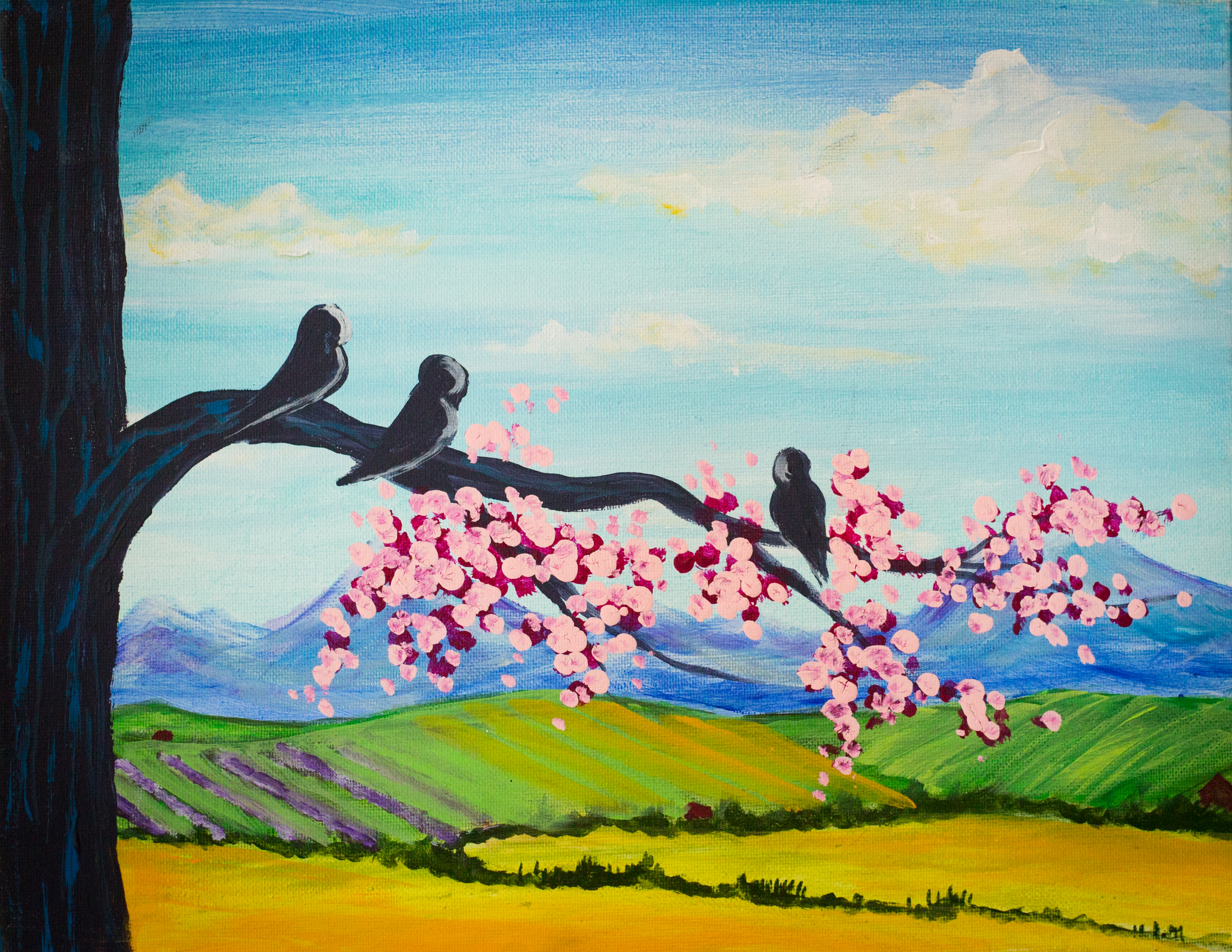 Spring Branch
