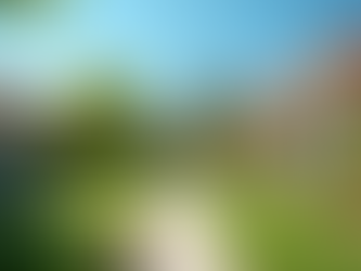 Maximizing Returns: How Our SIRIAM Property Management Ensures Peace of Mind for Investors