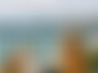 Pet-Friendly Projects in Pattaya