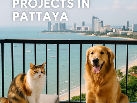 Pet-Friendly Projects in Pattaya