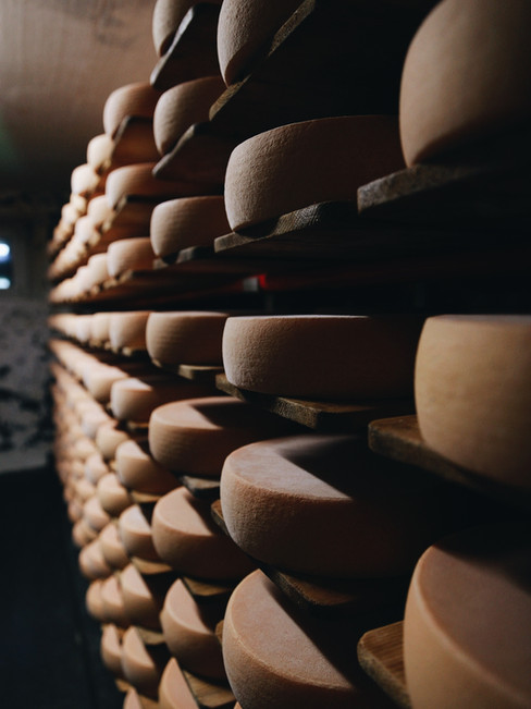 Que hacer en los alpes suizos