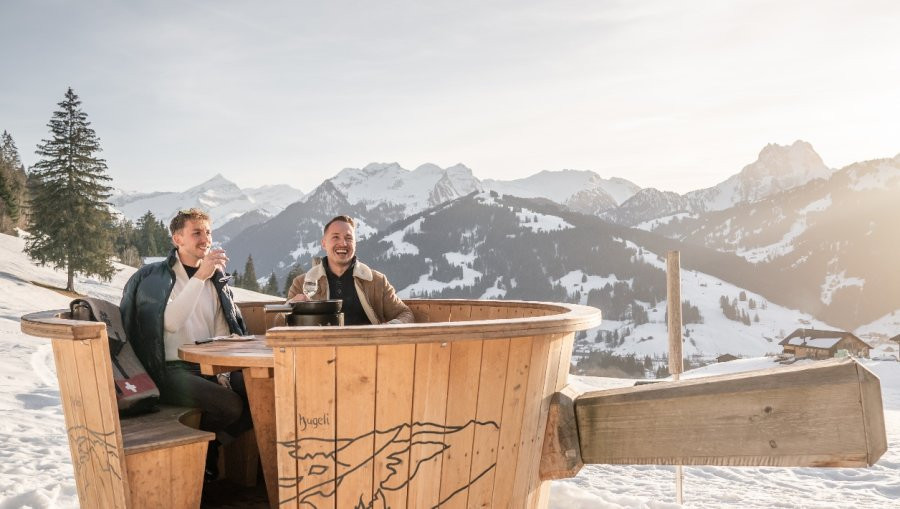 fondue, alpes suizos, suiza