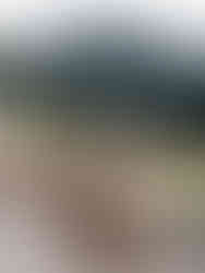 Itinerario de viaje alpes suizos