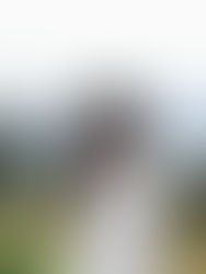 Que ver y hacer en Davos, Suiza - Guía de viaje