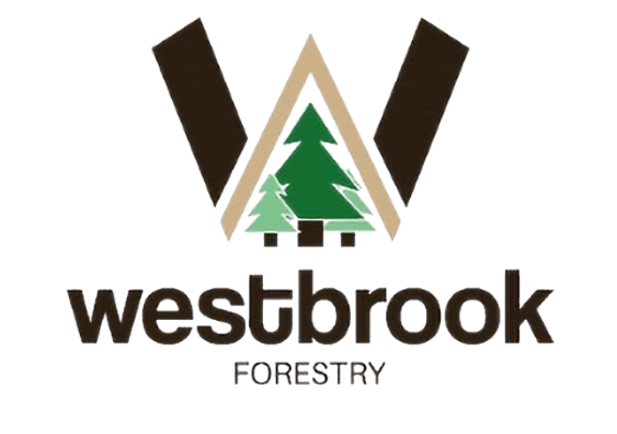 Diseño sin título (8).png