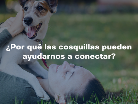 ¿Por qué las cosquillas pueden ayudarnos a conectar?