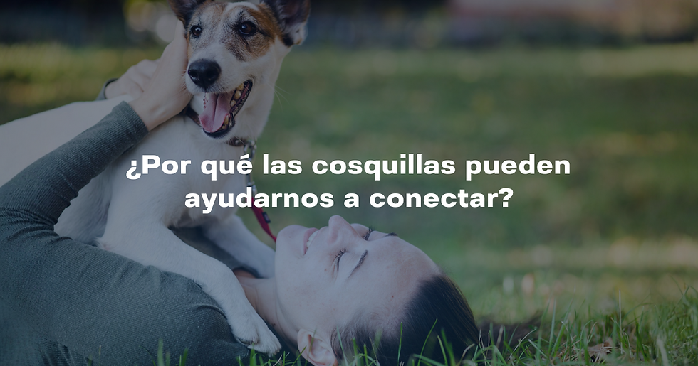 ¿Por qué las cosquillas pueden ayudarnos a conectar?