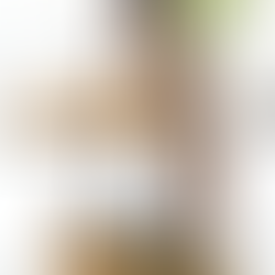 ¿Por qué todo instructor debe dominar la Wunda Chair?