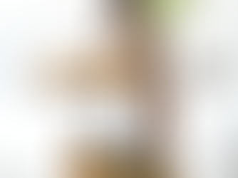 ¿Por qué todo instructor debe dominar la Wunda Chair?