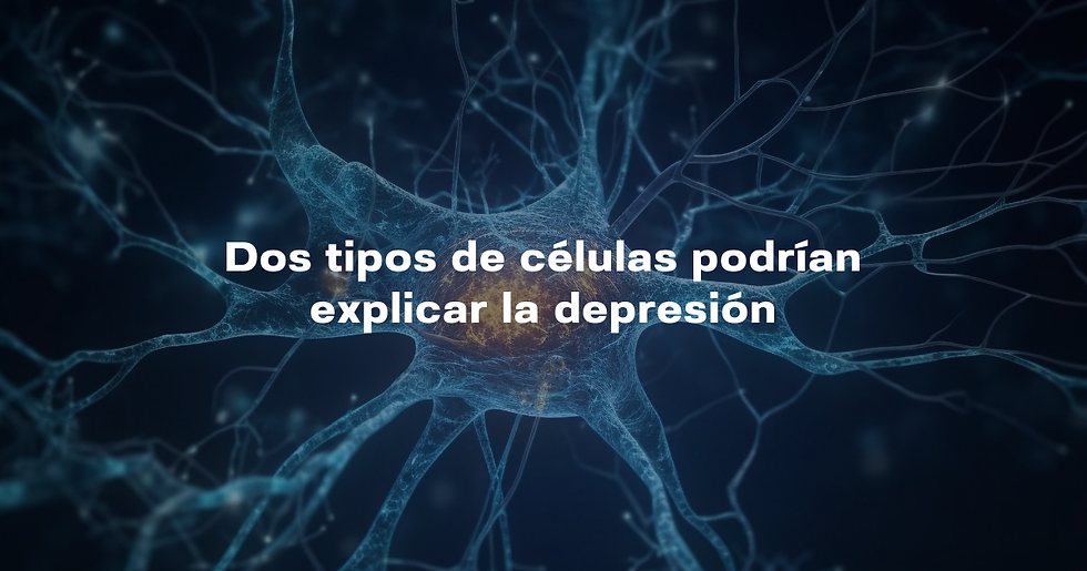 Dos tipos de células podrían explicar la depresión