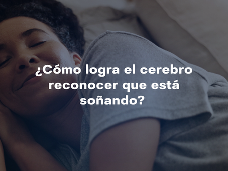 ¿Cómo logra el cerebro reconocer que está soñando? 