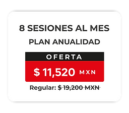 BUEN FIN 2024_8 sesiones anual.png
