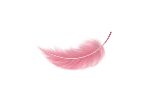 feather (2).png
