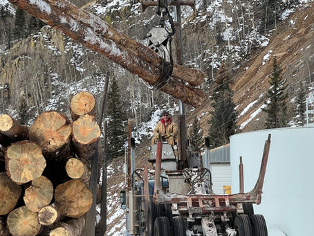 Profile in Compassion: Jim Broderick