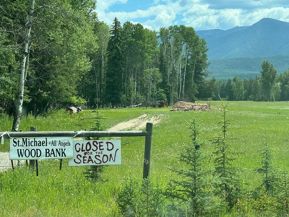 Roadside View of Wood Lot