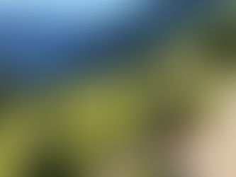 המדריך הבלתי תלוי: מה הביטוח נסיעות הכי טוב ב-2026? השוואה מלאה בין הראל, הפניקס Smart Travel ופספורטכארד