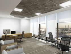 DIRECTOR'S OFFICE