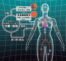 免疫細胞治療理解