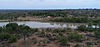 Dam elephants and lodge-small.jpg
