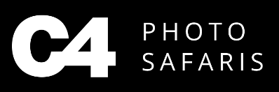C4 Photo Safaris