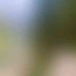  מסלול הליכה סביב אגם בראייס