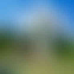 ארמון לינדרהוף והגנים