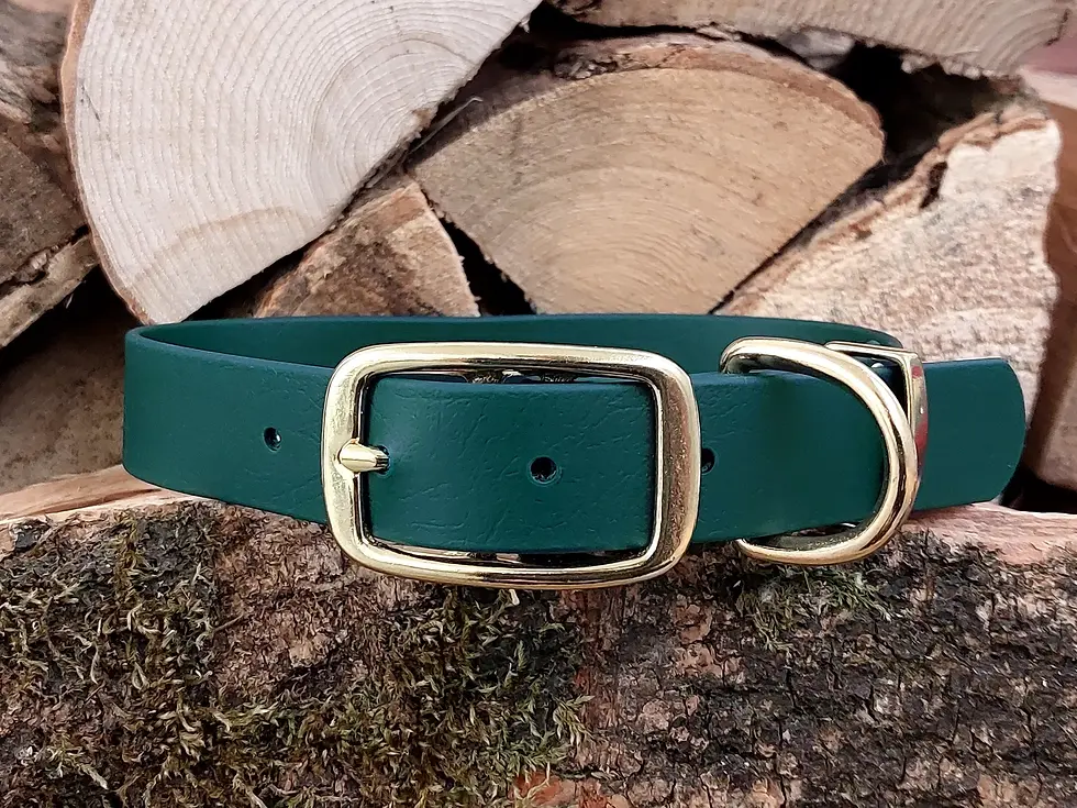 Biothane collar - Dark Green