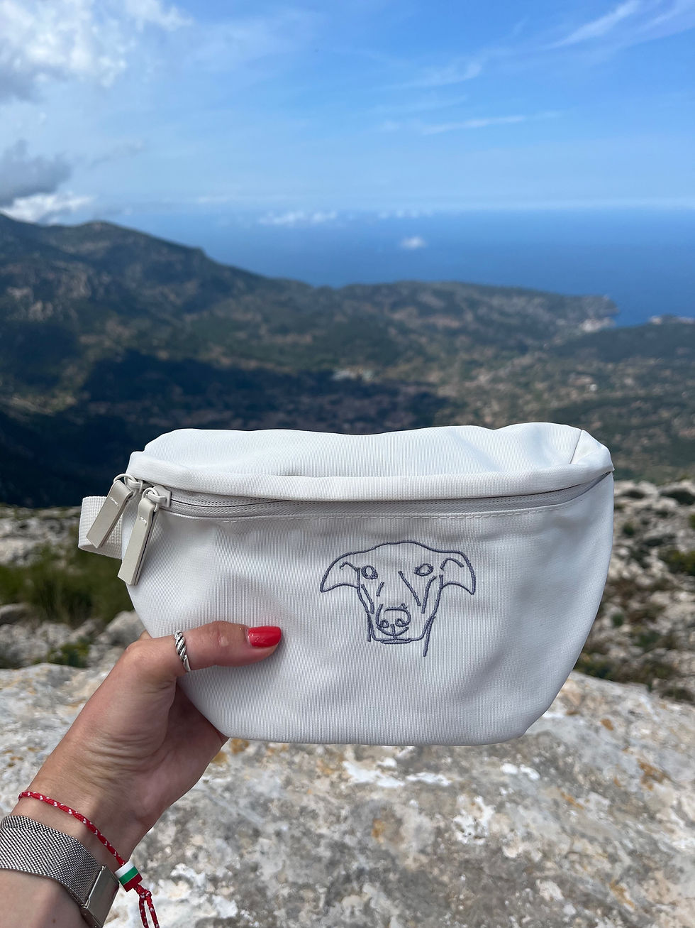 Thumbnail: Pet Portrait bum bag