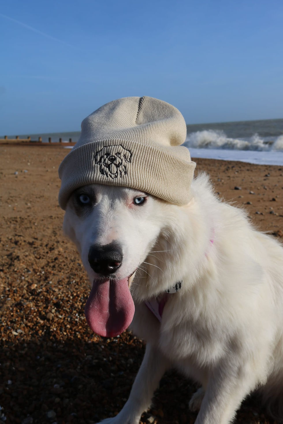 Thumbnail: Pet Portrait beanie hat